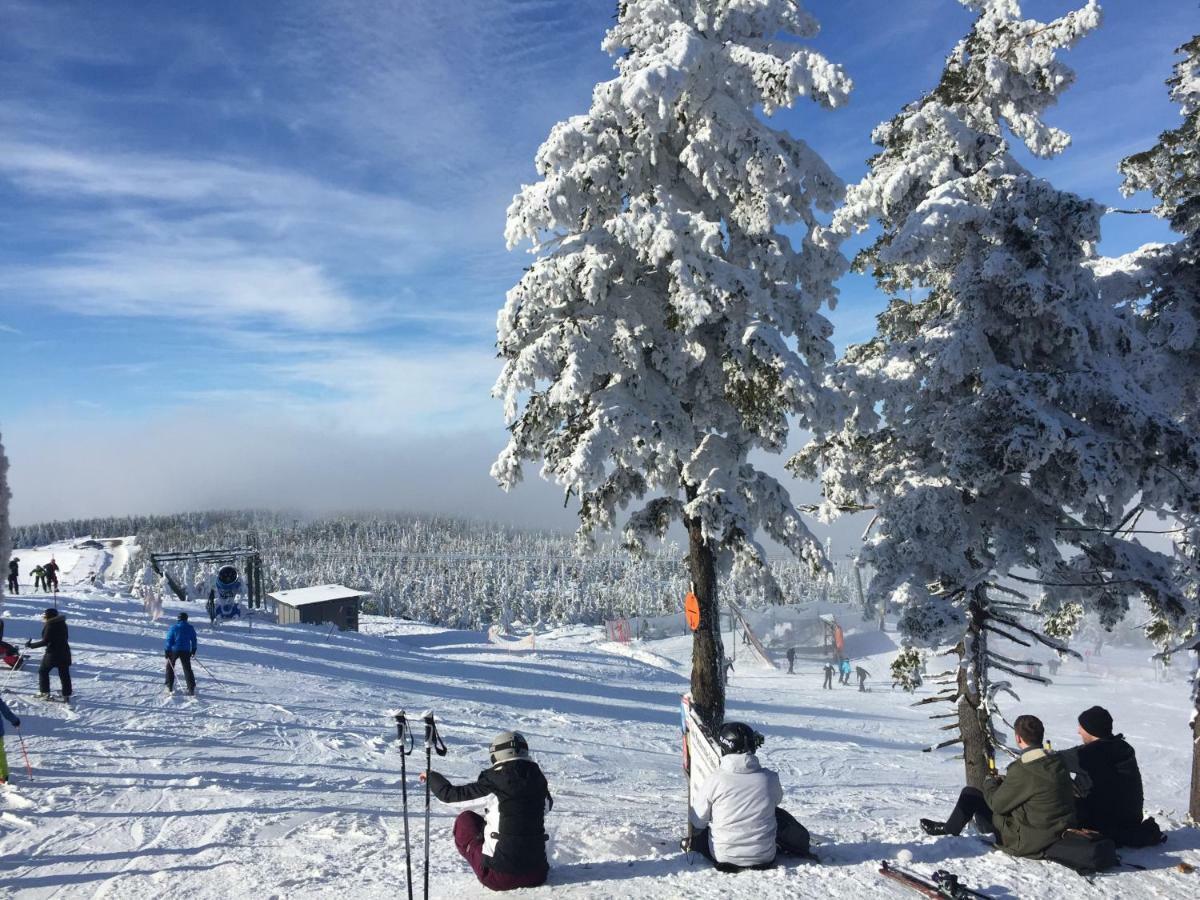 Ferienwohnung Harz-Flair 264 Hohegeiß エクステリア 写真