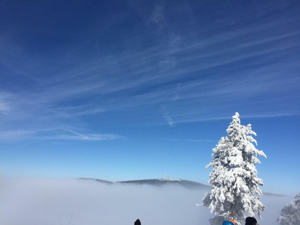 Ferienwohnung Harz-Flair 264 Hohegeiß エクステリア 写真