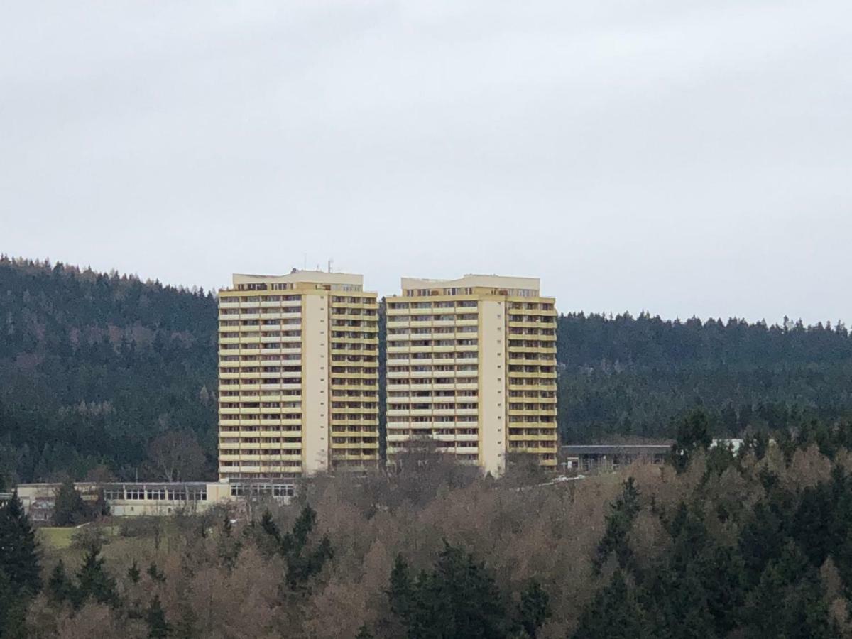 Ferienwohnung Harz-Flair 264 Hohegeiß エクステリア 写真